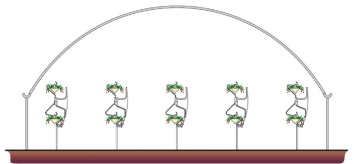 NGS rotational system strawberry — tunnel cross-section with the growing lines in vertical position